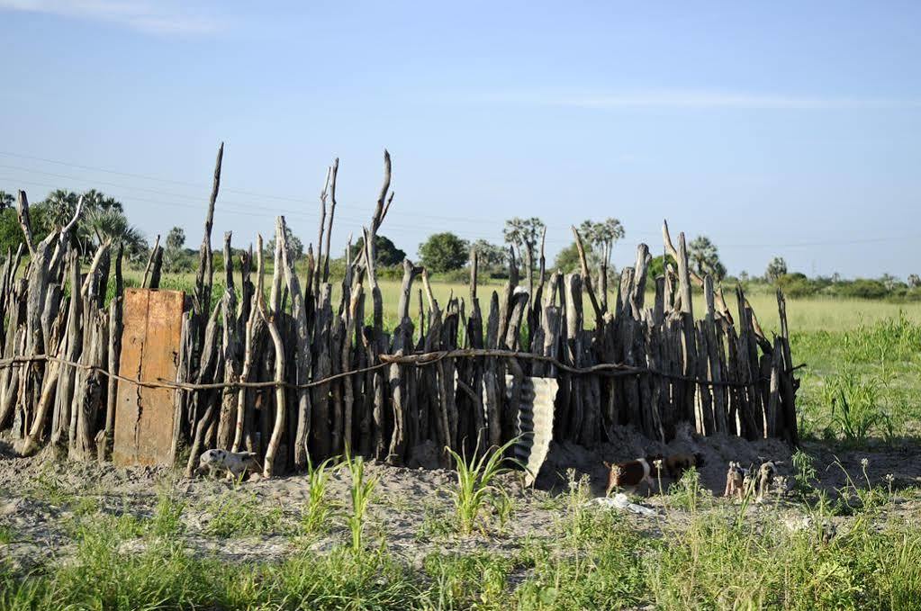 Ongula Village Homestead Lodge Ondangwa Exterior foto
